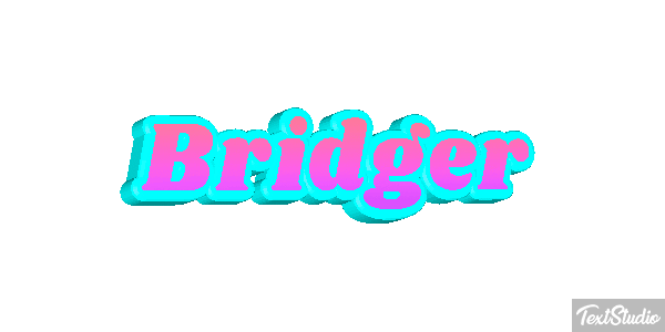 Bridger Efeito do texto