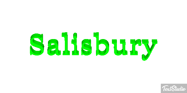 Salisbury Efekt tekstowy