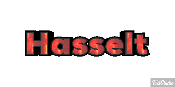Hasselt Efekt tekstowy