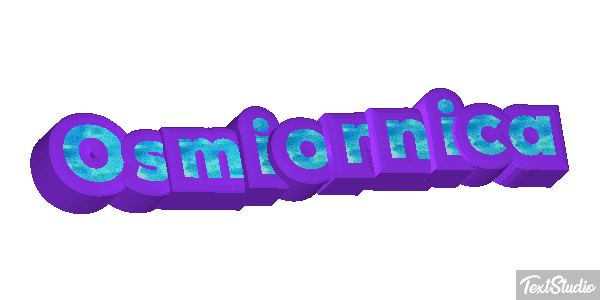 Ośmiornica Efekt tekstowy