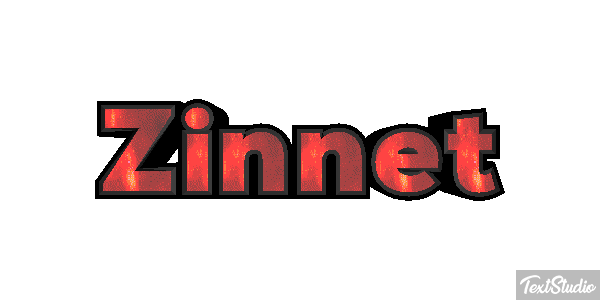 Zinnet Metin efekti