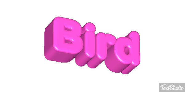 Bird Metin efekti