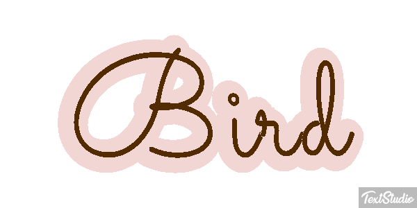 Bird Metin efekti