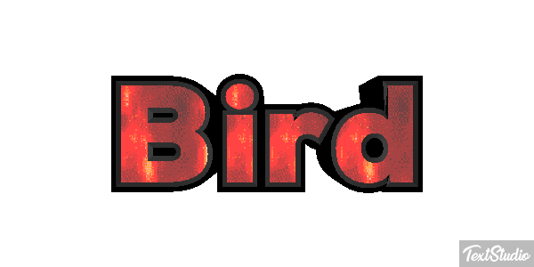 Bird Metin efekti