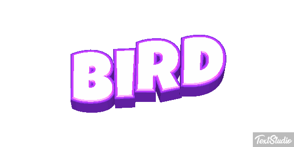 Bird Metin efekti