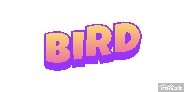 Bird Metin efekti