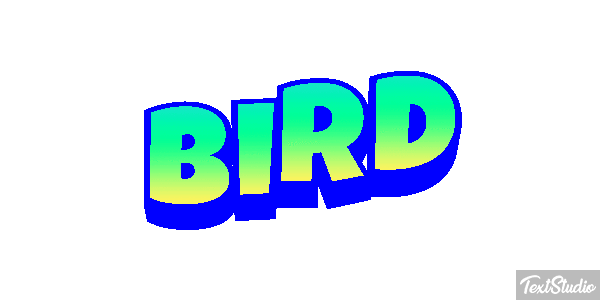 Bird Metin efekti