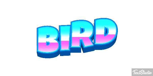 Bird Metin efekti