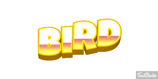 Bird Metin efekti