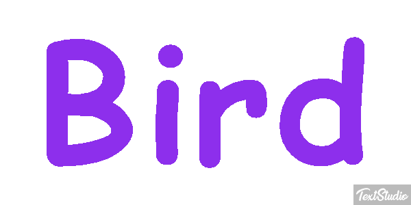 Bird Metin efekti