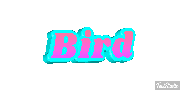 Bird Metin efekti