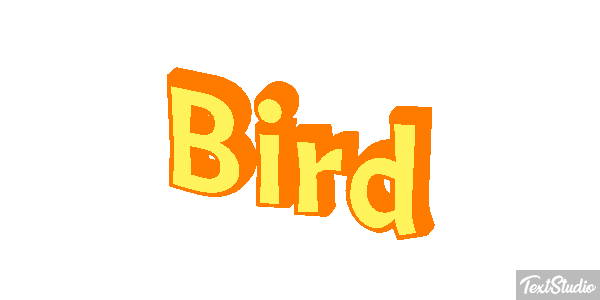 Bird Metin efekti