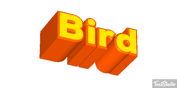 Bird Metin efekti