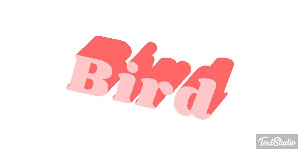 Bird Metin efekti
