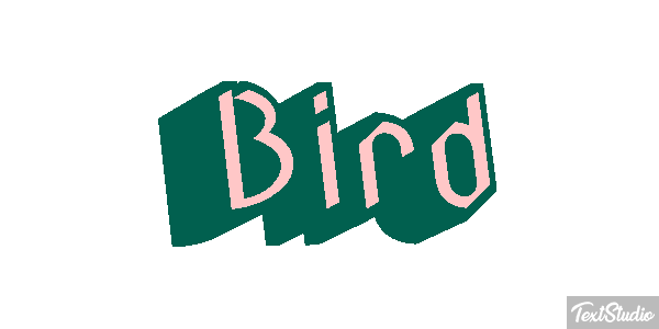 Bird Metin efekti