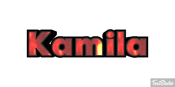 Kamila Efekt tekstowy