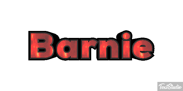 Barnie Effetto testo