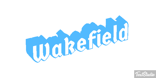 Wakefield Efekt tekstowy