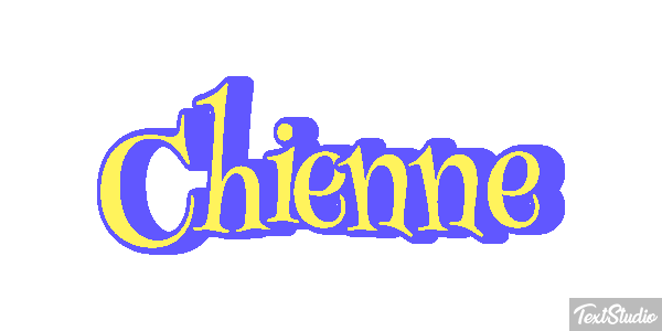 Chienne Tekst effect