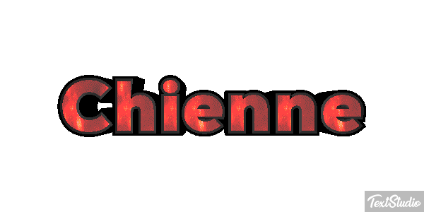 Chienne Tekst effect