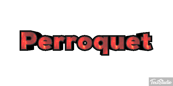 Perroquet Effet de texte