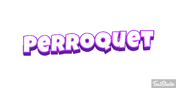 Perroquet Effet de texte