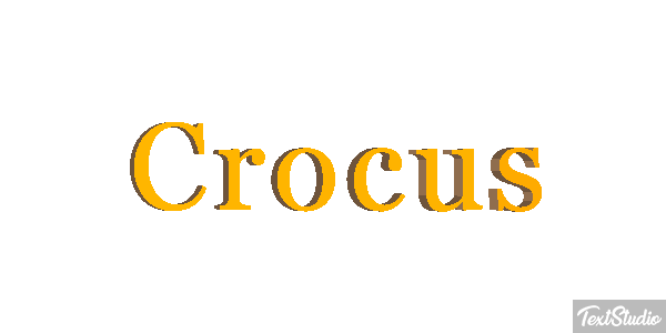 Crocus Metin efekti