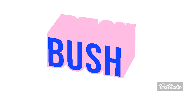 Bush Efeito do texto