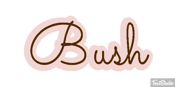 Bush Efeito do texto