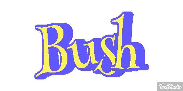 Bush Efeito do texto