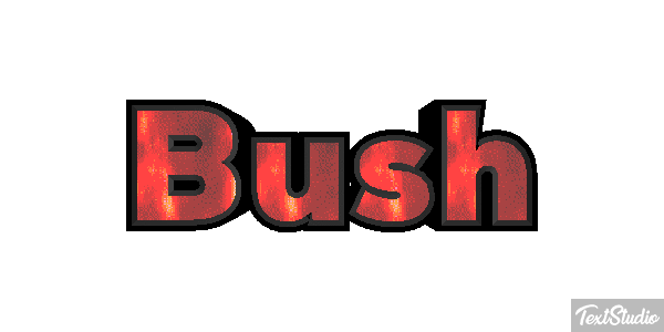 Bush Efeito do texto