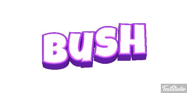 Bush Efeito do texto