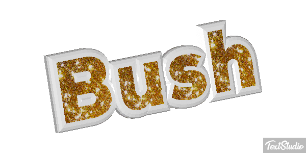 Bush Efeito do texto