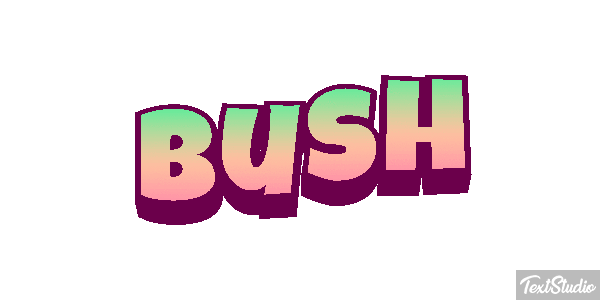Bush Efeito do texto