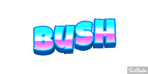 Bush Efeito do texto