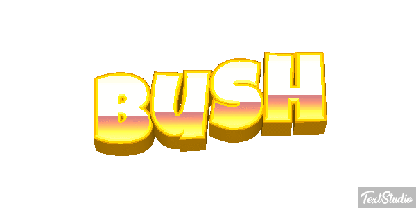 Bush Efeito do texto