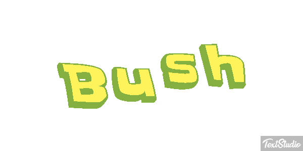 Bush Efeito do texto