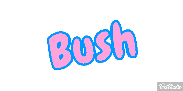 Bush Efeito do texto