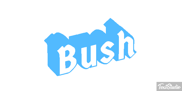 Bush Efeito do texto