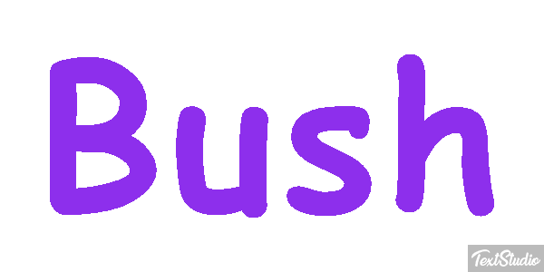 Bush Efeito do texto