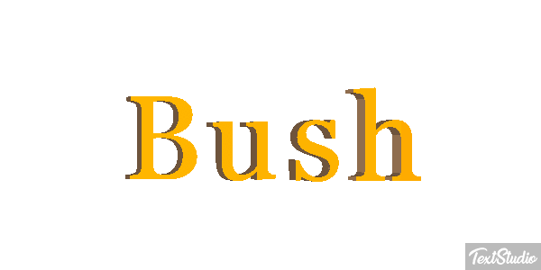 Bush Efeito do texto