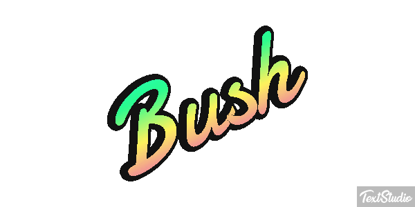 Bush Efeito do texto