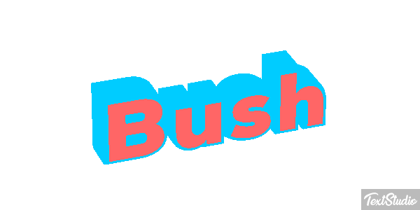 Bush Efeito do texto