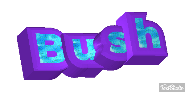 Bush Efeito do texto