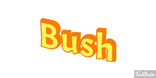 Bush Efeito do texto