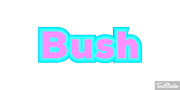 Bush Efeito do texto