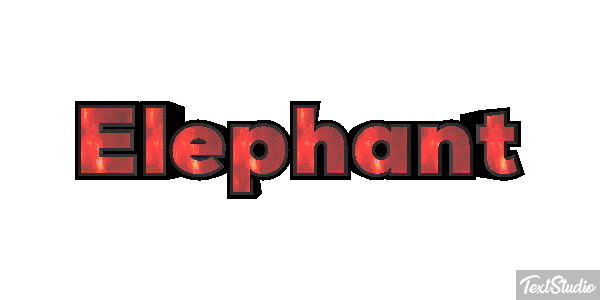 Éléphant Effetto testo