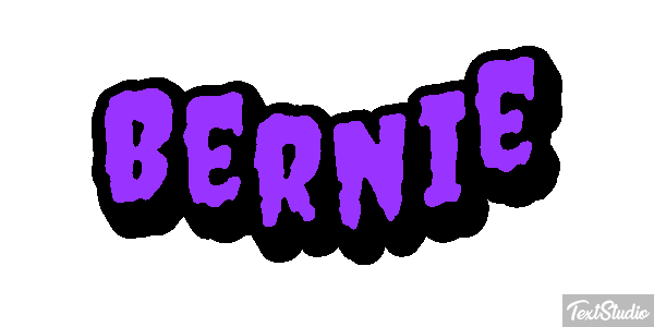 Bernie Efekt tekstowy