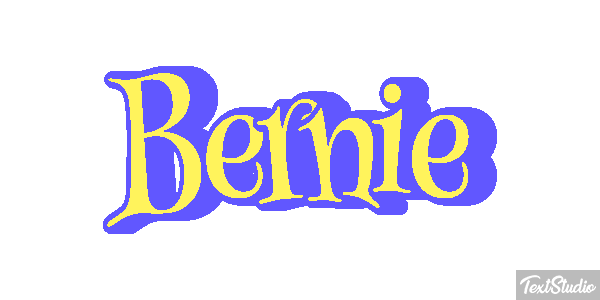 Bernie Efekt tekstowy