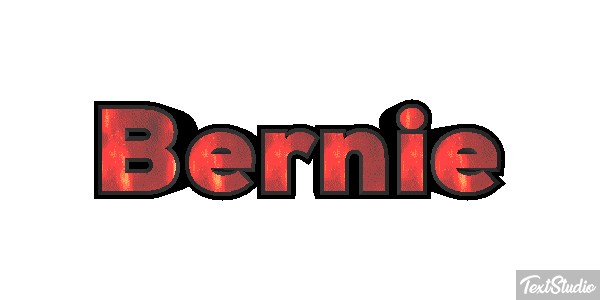Bernie Efekt tekstowy